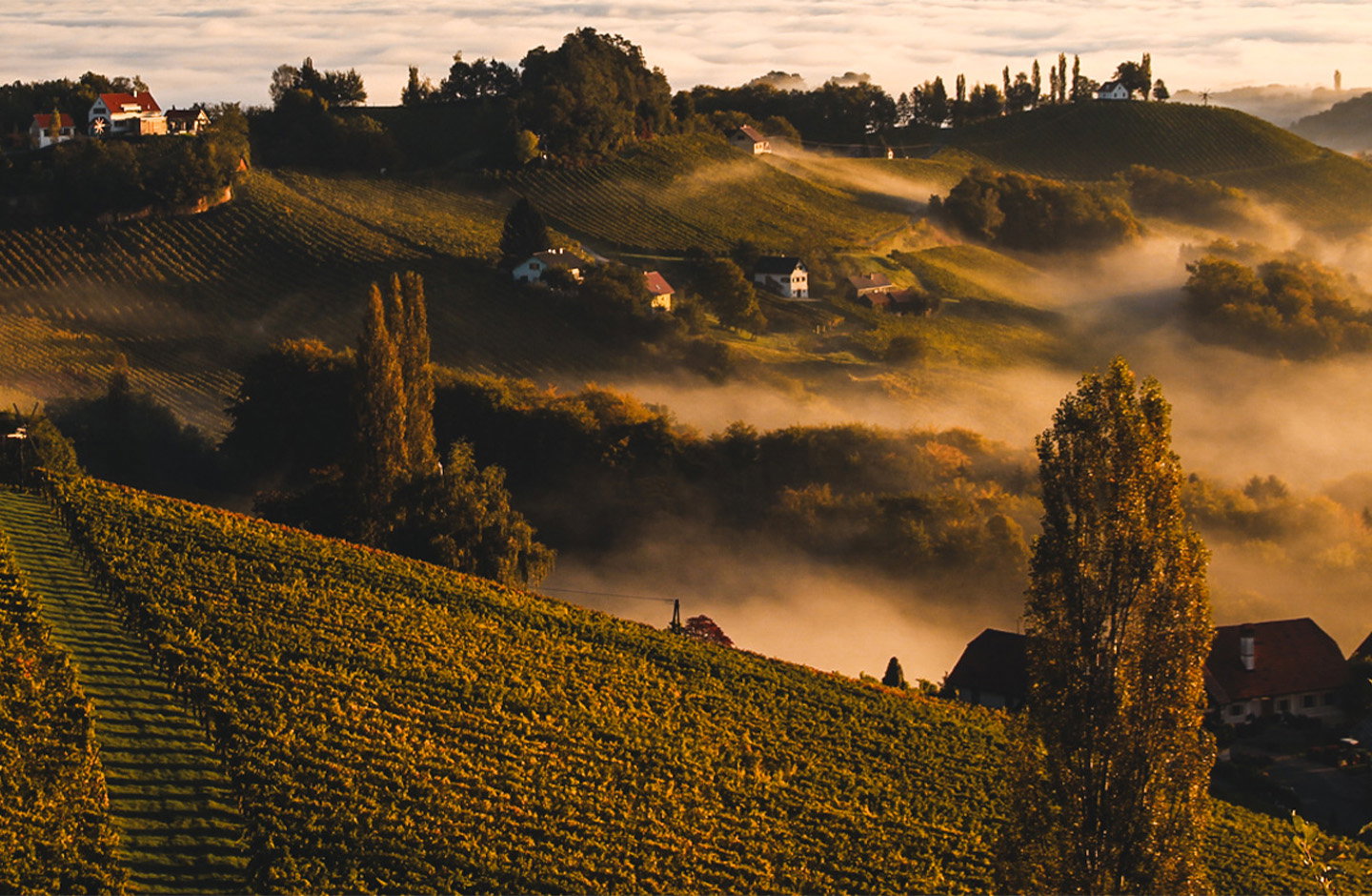 Riegelnegg Olwitschhof