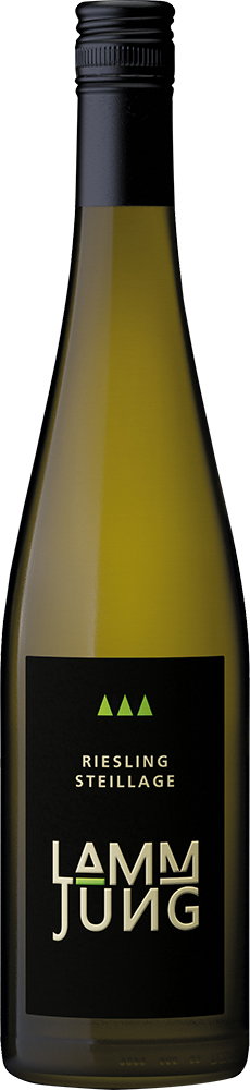 2017 Riesling Premium Steil
