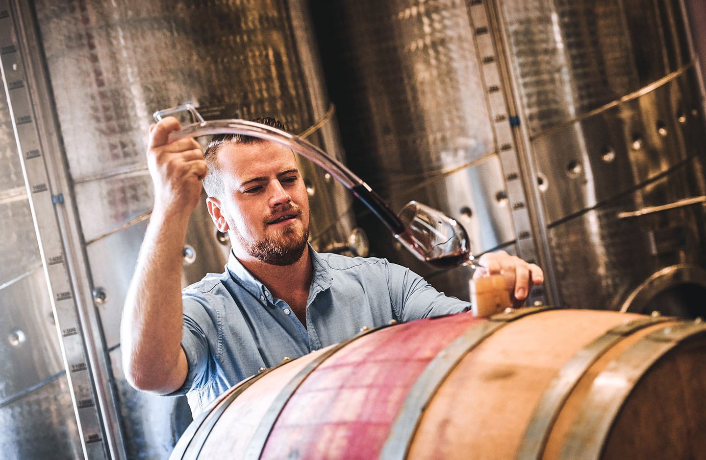 Weine mit Ausdruck von Weingut Regele