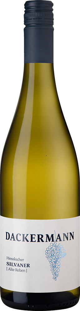 SPARGELWEIN 6+6 Paket! 2025 HESSLOCHER SILVANER [Alte Reben] ORTSWEIN trocken
