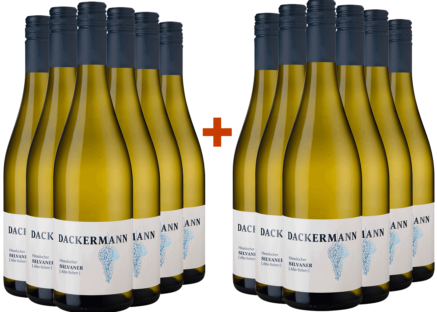 SPARGELWEIN 6+6 Paket! 2025 HESSLOCHER SILVANER [Alte Reben] ORTSWEIN trocken