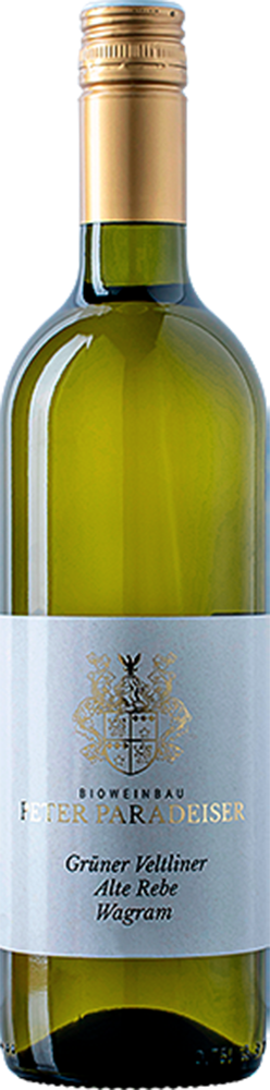 2024 Grüner Veltliner Alte Rebe BIO