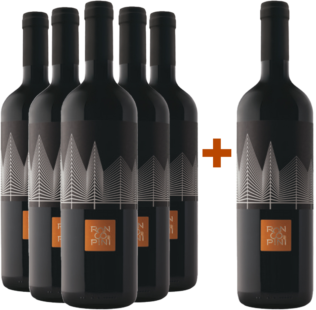 5+1 Paket Sauvignon Friuli Colli Orientali DOC