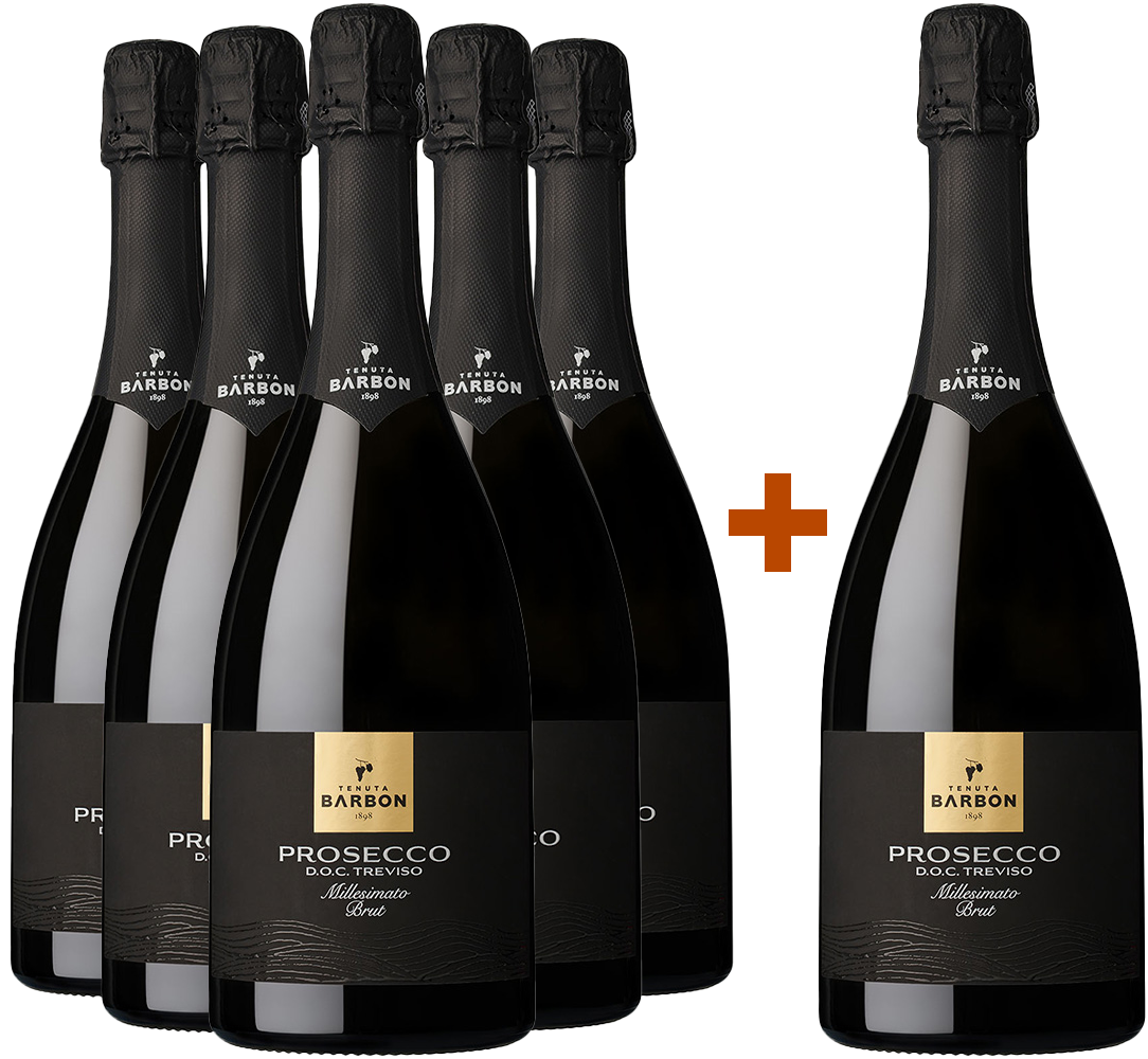 5+1 Paket Prosecco Millesimato Treviso DOC