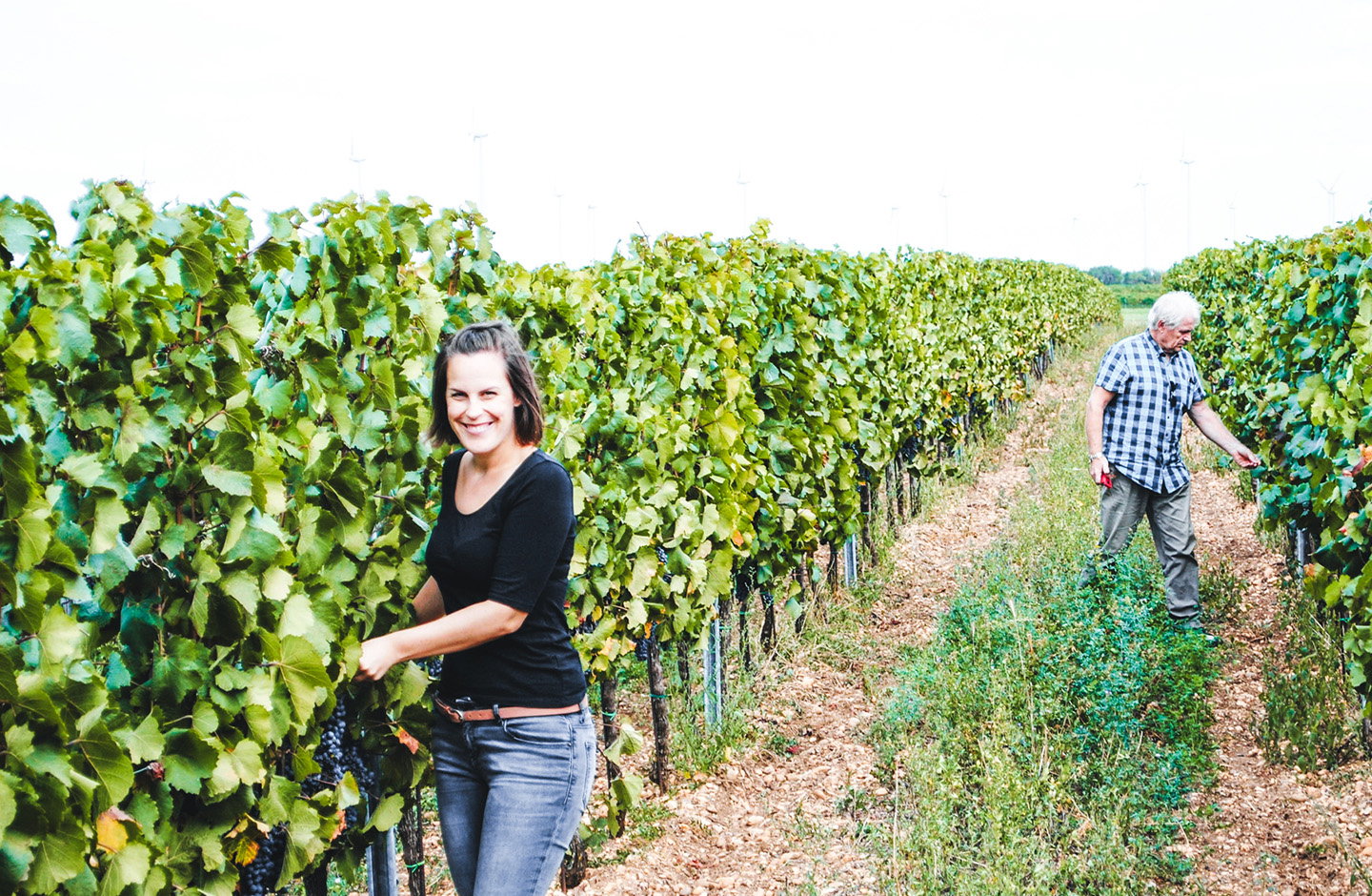 Exklusiver Winzer-Tipp vom Weingut Habersack