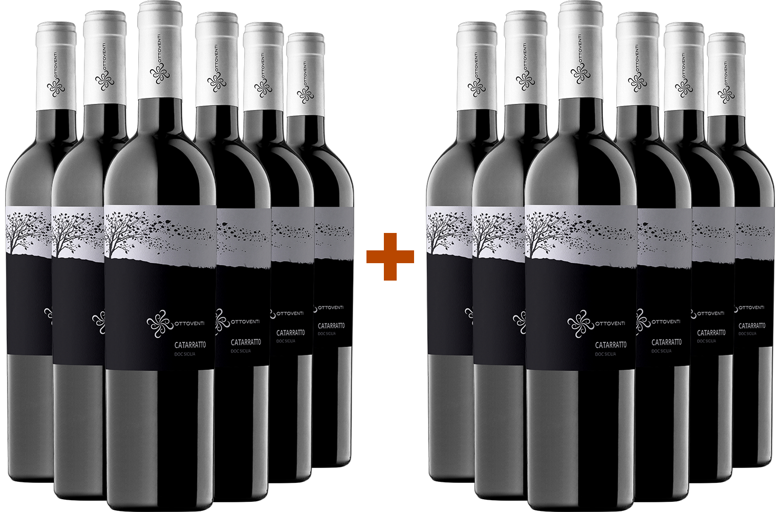 6+6 Paket Catarratto Sicilia DOC BIO
