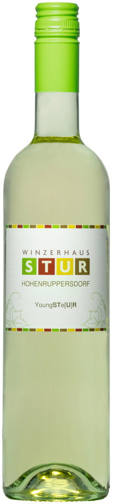 2025 Gemischter Satz BIO