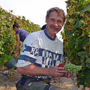 Joachim Ahl