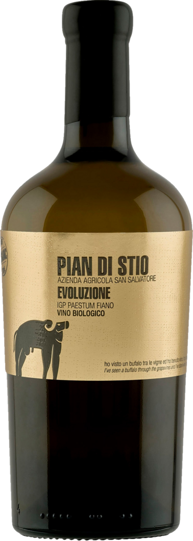 2020 San Salvatore Piani di Stio Evoluzione Fiano BIO reflection