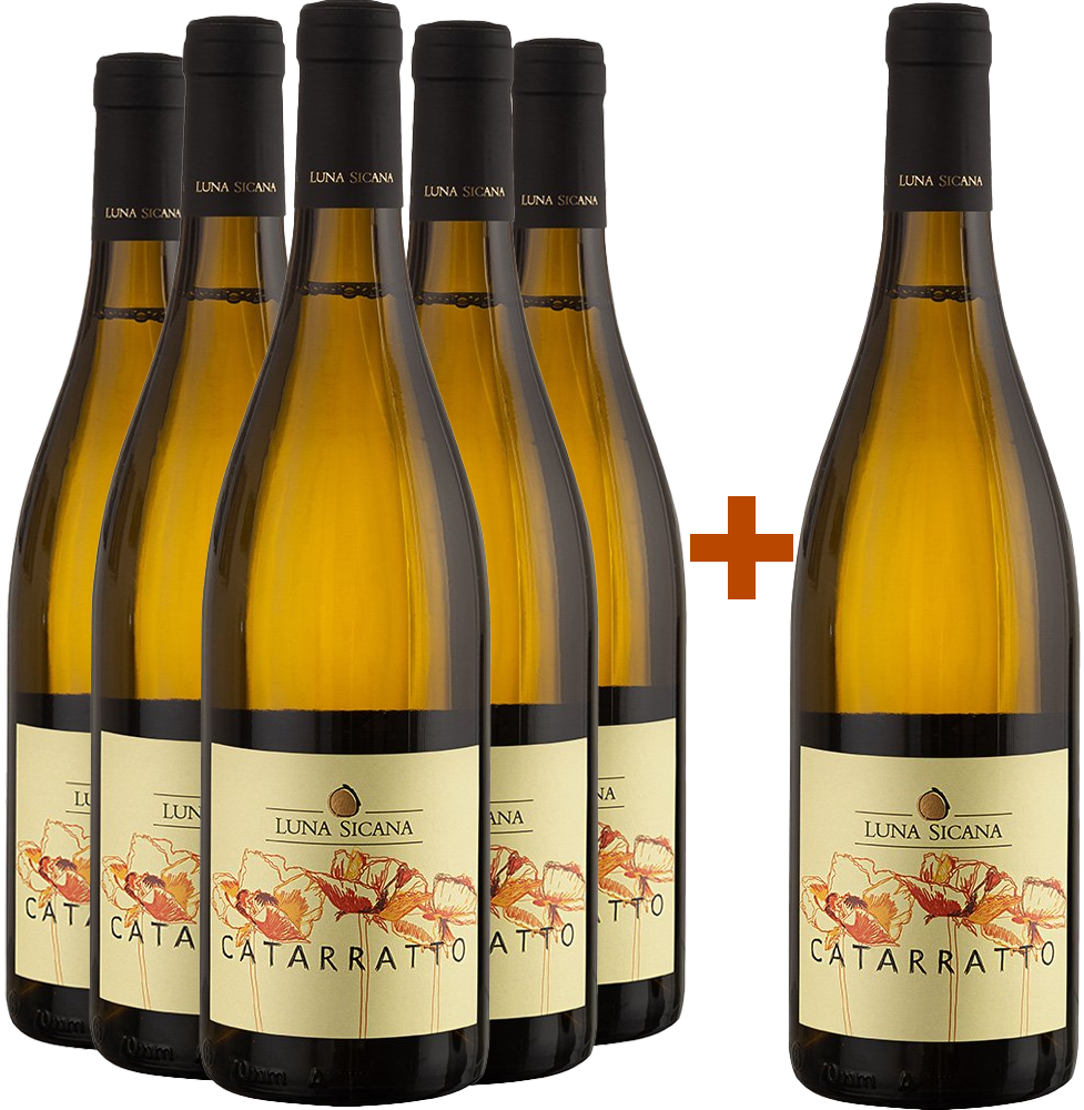 5+1 Paket Catarratto Sicilia DOC BIO BIO