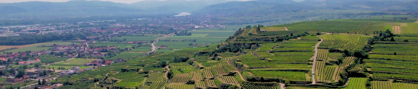 Weingut Mittelbach