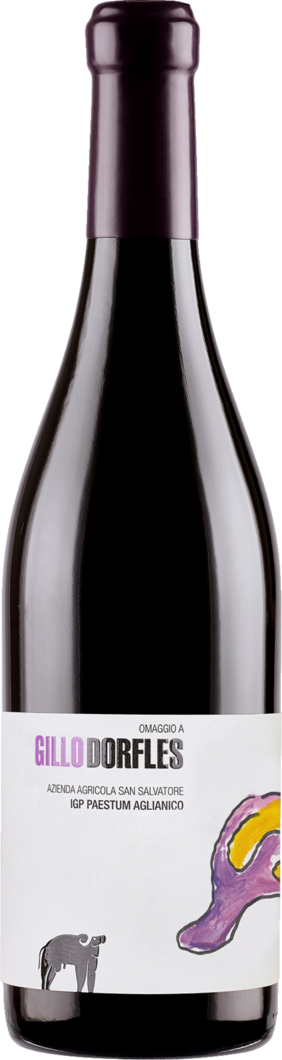 2019 Gillo Aglianico reflection
