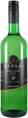2024 Gundersheimer Höllenbrand PINOT CUVÉE BLANC