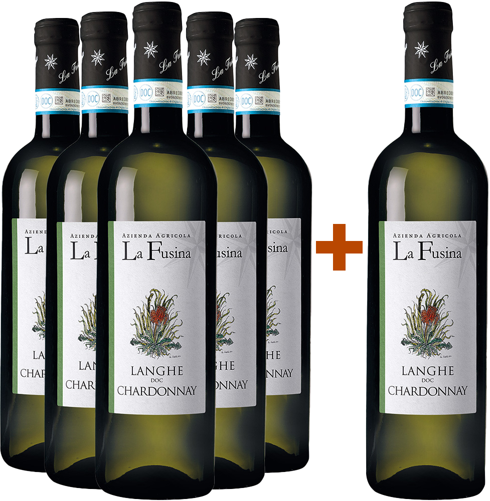 5+1 Paket Chardonnay Langhe DOC