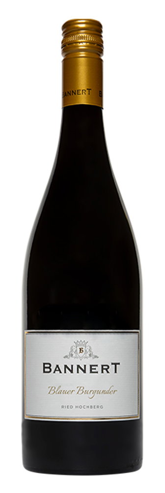 2019 Blauer Burgunder RESERVE, Ried Hochberg