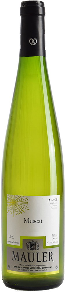 2024 Muscat Alsace AOP reflection
