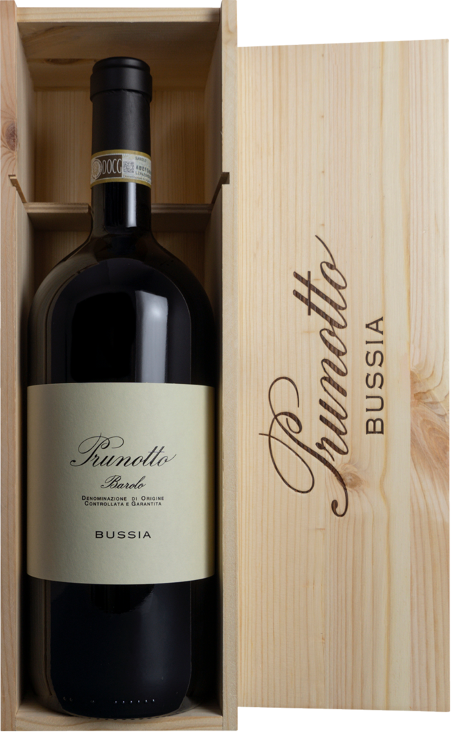 2016 Bussia Barolo 1,5 L reflection