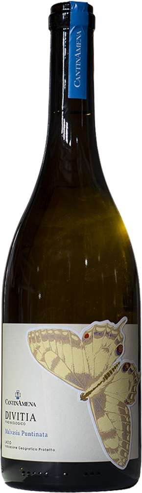 2024 Divitia Lazio IGP BIO