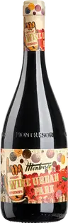 Rosso Igt Veneto Appassimento