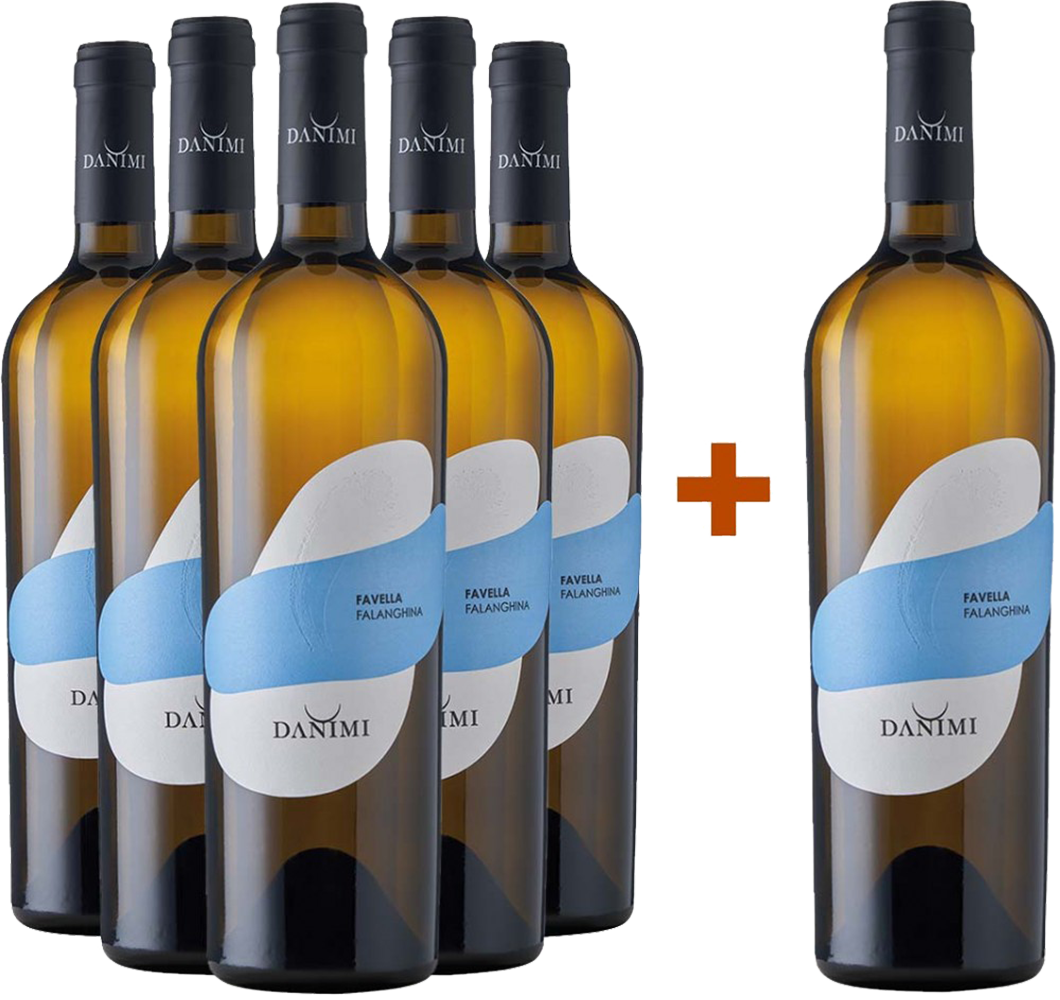 5+1 Paket Favella Irpinia Falanghina DOC