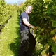Weingut Eberle-Runkel