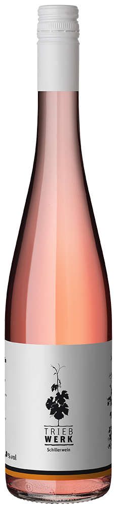 2024 TRIEBWERK Schillerwein reflection