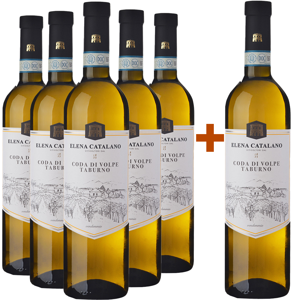 5+1 Paket Coda di Volpe Sannio Taburno DOC