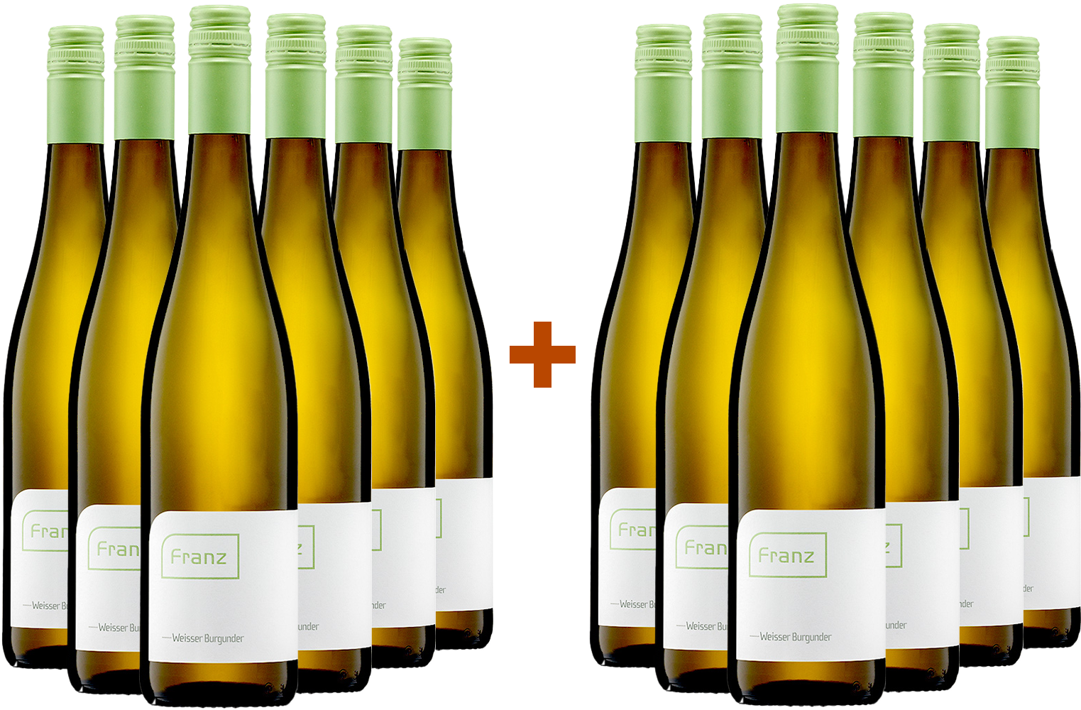 6 +6 Paket 2024 Weißburgunder trocken - Weingut Franz BIO