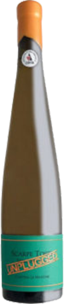 2021 Scarpe Toste Unplugged, Orange