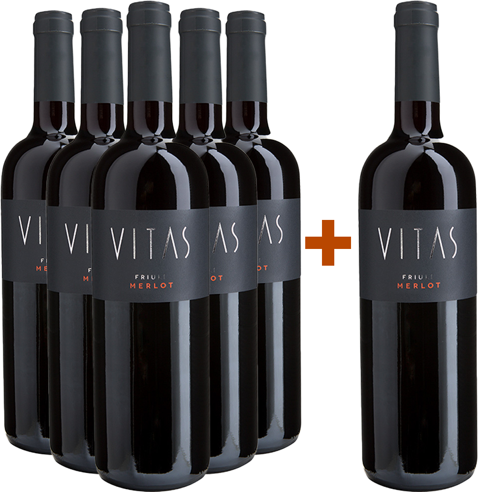 5+1 Merlot Friuli DOC