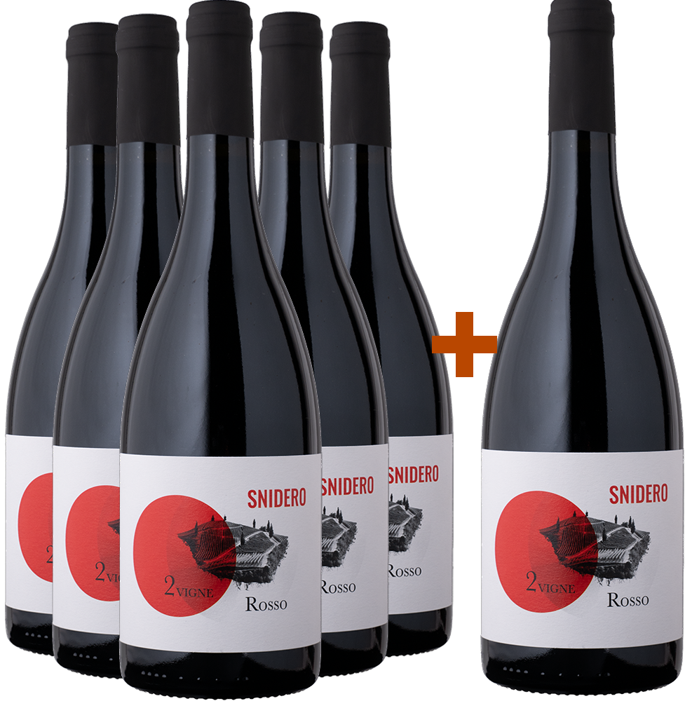 5+1 Paket Rosso Due Vigne Selezione BIO BIO