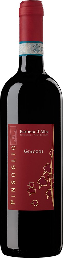2023 “Giaconi” Barbera d’Alba DOC reflection