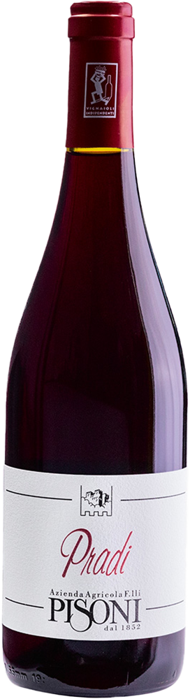 2023 Pradi Teroldego Vigneti delle Dolomiti IGP BIO