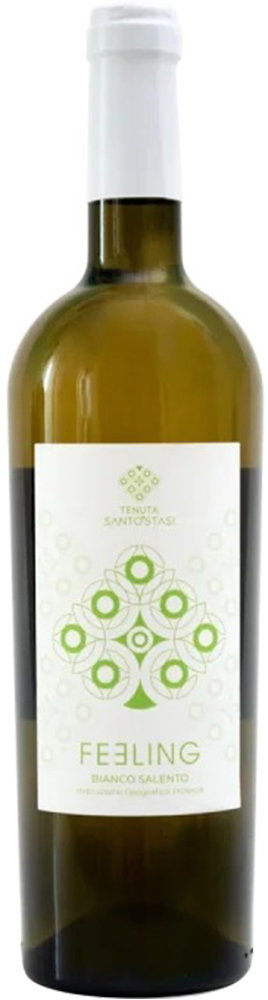 2023 Bianco Fiano Salento IGP reflection
