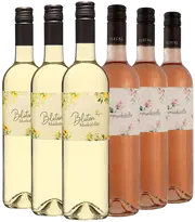 Das perfekte Paket für Ihren Frühling!