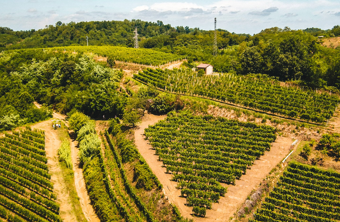 Poderi Vaiot