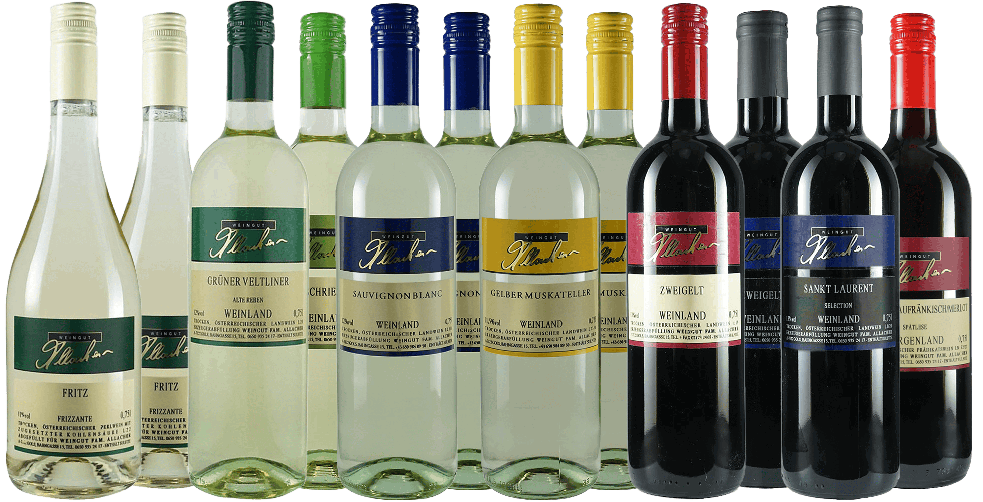 Kennenlernpaket gross