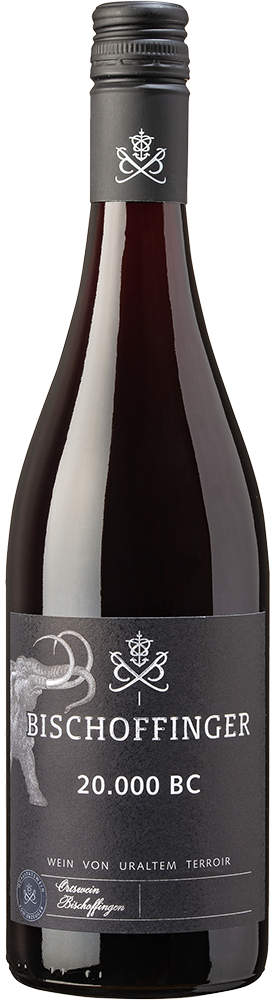 Bischoffinger 20.000 BC