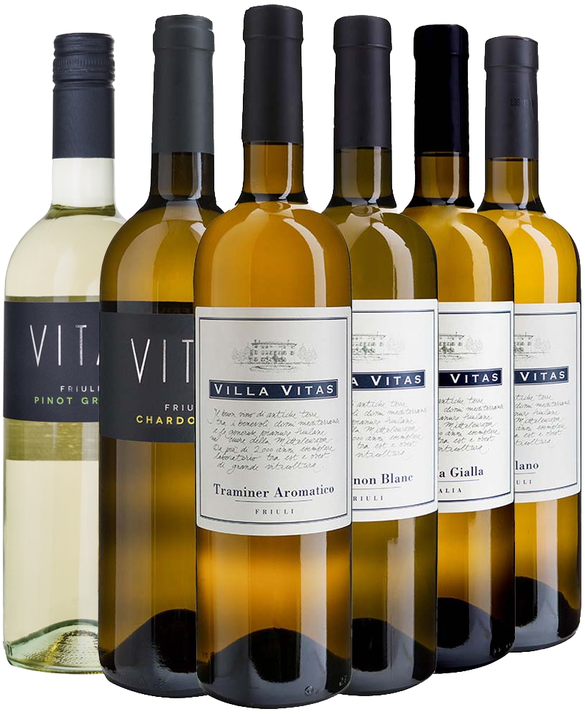 Villa Vitas Weißwein Kennenlern-Paket