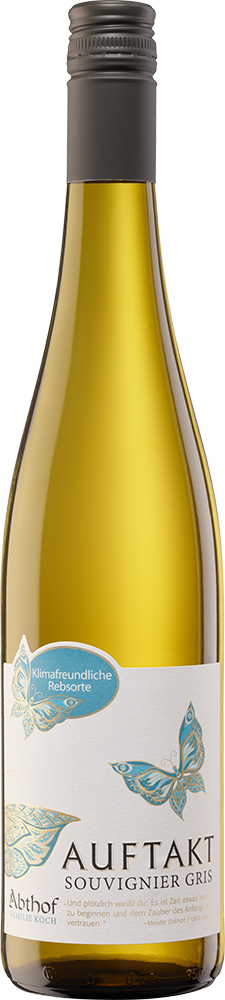 2024 Auftakt Souvignier Gris