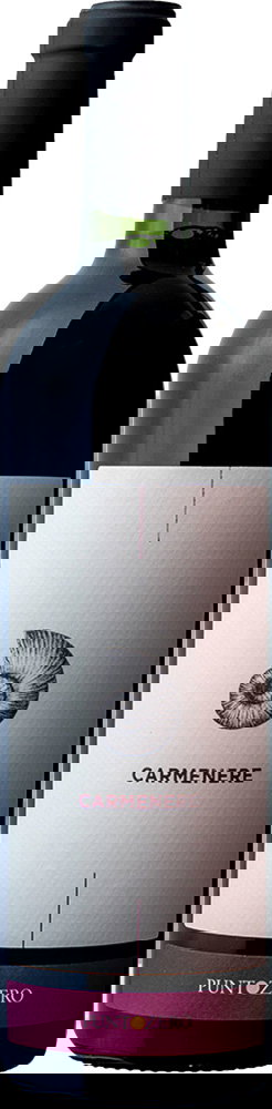 2019 Carmenere Veneto