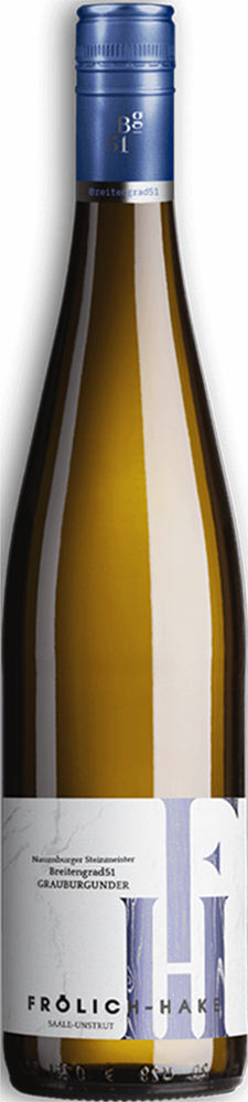 2023 Breitengrad 51 Riesling Dorndorfer Rappental
