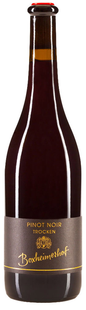 2021 Gundheimer Mandelbrunnen Pinot Noir