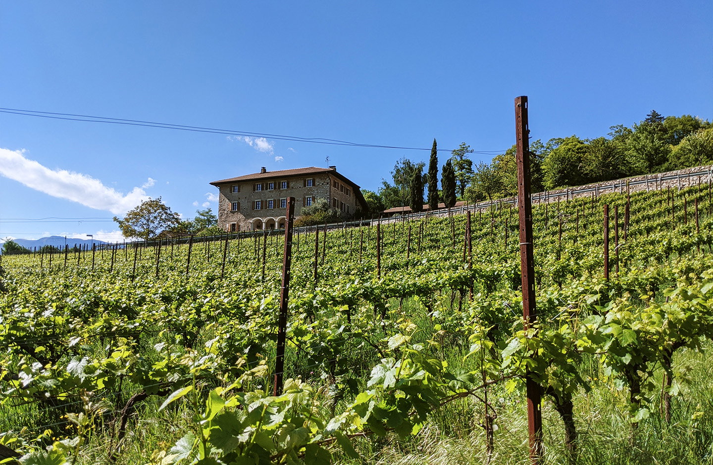 Tenuta Volpare