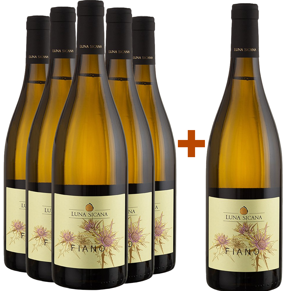 5+1 Paket Fiano Sicilia DOC BIO BIO