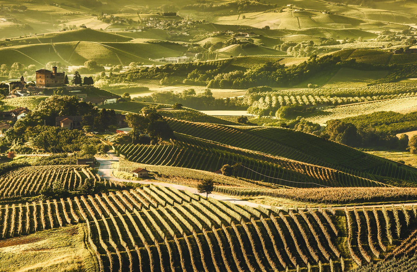 Nuovi Poderi