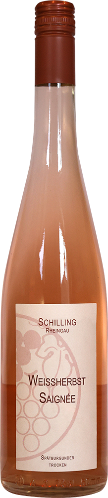 2025 Blauer Spätburgunder Spätburgunder Weißherbst Saingée Weissherbst