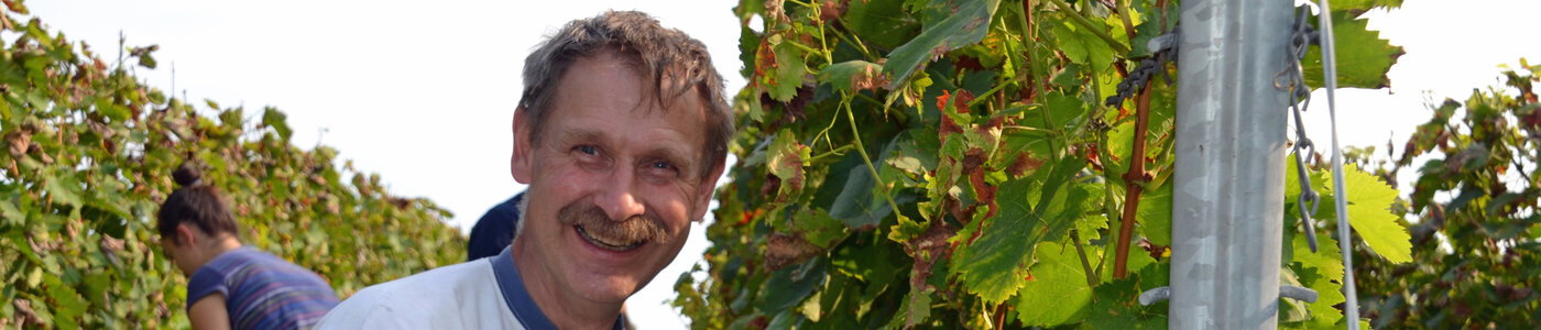 Bert Wechsler Erben