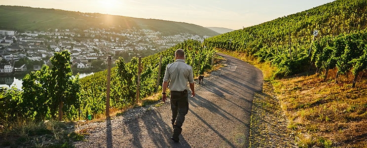 Witwe Dr. H. Thanisch, Erben Müller-Burggraef