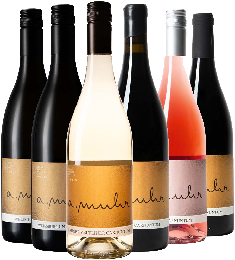 Andreas Muhr Kennenlern-Paket 